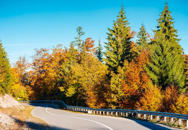 Slingrande Bergsväg Höst Skog Härlig Natur Landskap Med Färgstarka Bladverk — Stockfoto