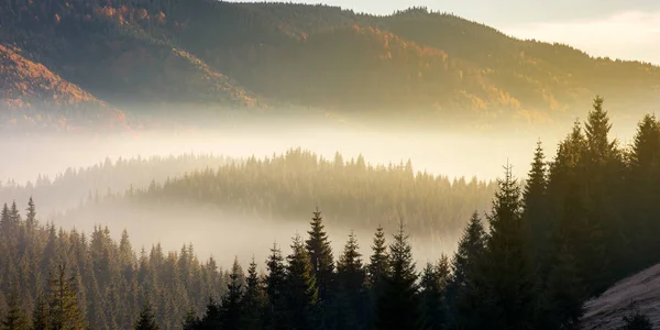 Piękne Krajobrazy Mglisty Jesienią Wschodzie Słońca Powstanie Mgły Nad Odległej — Zdjęcie stockowe