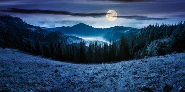 dağ ve sisli vadi Panorama. Tepedeki çam ormanı ile güzel manzara. Apuseni doğal Park Romanya harika hava gece dolunay ışık