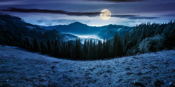 山や霧の谷のパノラマ 丘の上のトウヒ林と美しい風景 満月の光で夜 Apuseni 自然公園のルーマニアで素晴らしい天気 — ストック写真