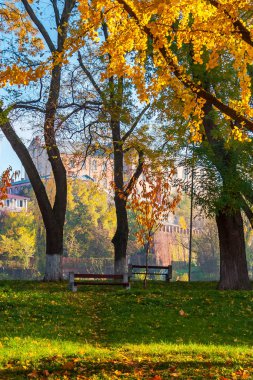 Uzhgorod, Ukrayna - 10 Kasım 2012: sonbahar park sonbahar yaprakları Pravoslavna naberezhna. Antik Bina Üniversitesi Uzaktan tepede. güzel güneşli hava