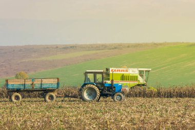 Shyroke, Ukrayna - 11 Kasım 2015: traktör ve hasat mısır saplarını geç sonbahar haze gün arasında alanındaki