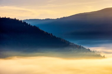 kalın sis valley gündoğumu adlı yukarıda. güzel sonbahar arka planda dağlar. güzel doğa soyut sahne