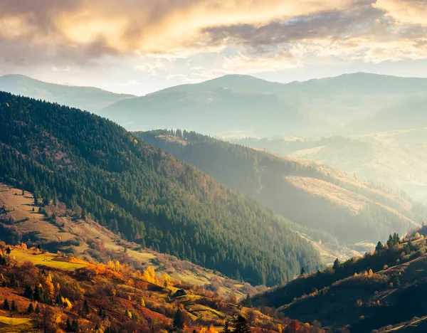 Прекрасный День Горах Прекрасная Осенняя Погода Ближайший Лес Красочной Листве — стоковое фото