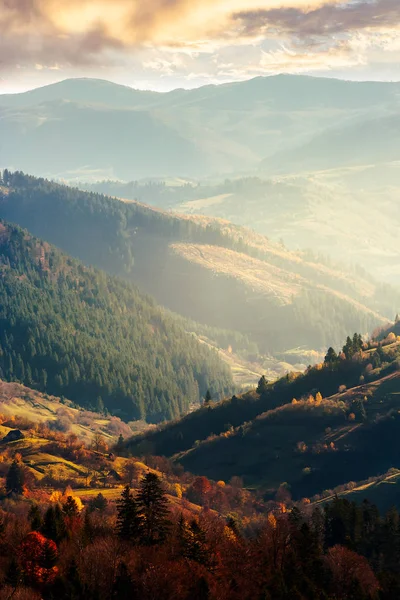 Beautiful Afternoon Mountains Lovely Autumn Weather Nearest Forest Colorful Foliage — Stock Photo, Image