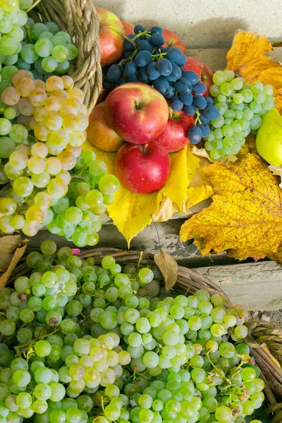 Autumnal Harvest Still Life Apples Pears Grapes Nuts Berries Foliage — Stock Photo, Image