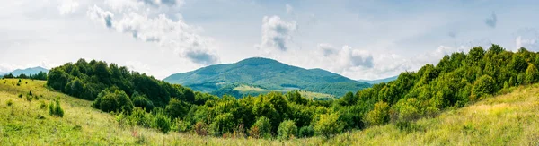 Панорама Горной Местности Лес Травянистом Лугу Высокая Гора Вдалеке Прекрасный — стоковое фото