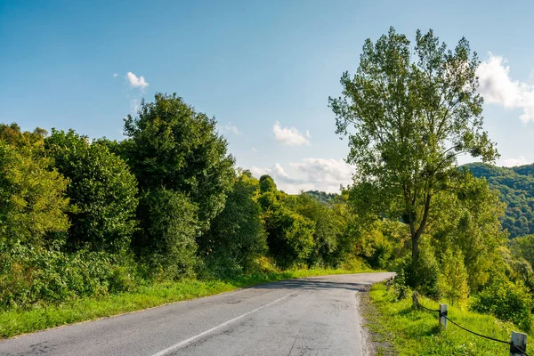 Landsbygden Vägen Genom Skogen Bergen Härlig Transport Landskapet Tidig Höst — Stockfoto