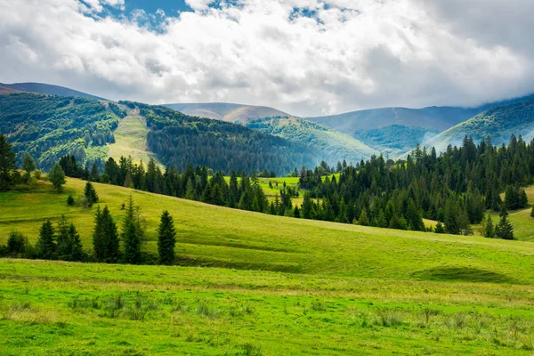 Красивая Зеленая Долина Хвойным Лесом Прекрасный Пейзаж Горах Огромное Облако — стоковое фото