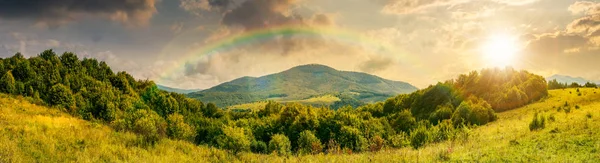 Панорама Гірської Місцевості Ліс Трав Янистій Лузі Високі Гори Відстані — стокове фото