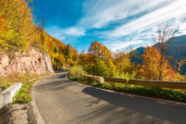 Sonbaharda yapraklar ormandan binmek. Dağları güzel güneşli bir günde