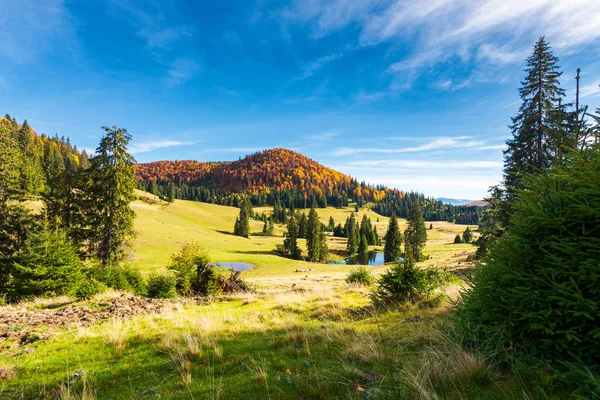 Teich Zwischen Fichten Schöne Herbstlandschaft Den Bergen Wunderschönes Licht Und — Stockfoto