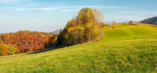 Waldpanorama Auf Dem Grashügel Herbst Schöne Ländliche Landschaft Der Bergigen — Stockfoto