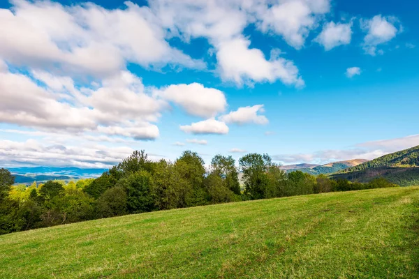 初秋的乡村在山上 在草甸后面的一排树 蓝天上蓬松的云彩 — 图库照片