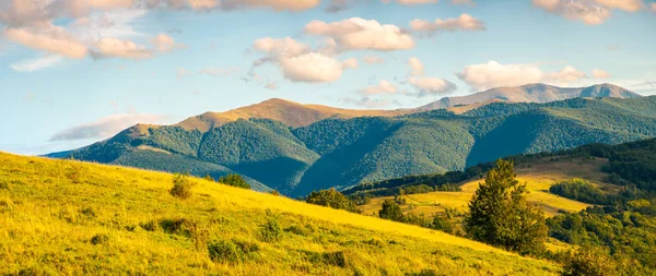 Çimenli Tepeler Ile Sonbahar Kırsal Panoraması Harika Akşam Sahne Güzel — Stok fotoğraf