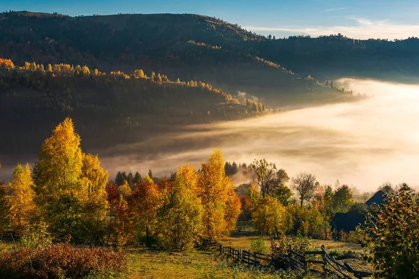 Hermoso Campo Otoño Amanecer Árboles Follaje Colorido Niebla Valle Sobre —  Fotos de Stock
