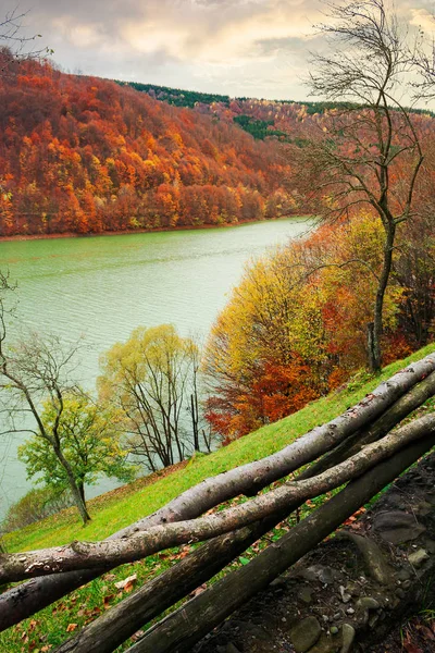 Water Reservoir Tereblya River Transcarpathia Ukraine Beautiful Autumn Scenery Forest — Stock Photo, Image