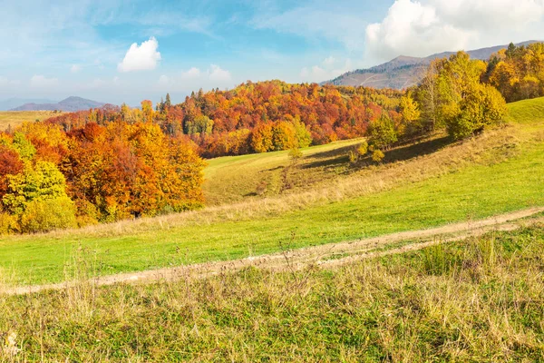 喀尔巴阡山脉美丽的秋天风景 在草甸后面的秋天颜色的森林 雄伟的山脊在远处的华丽的天空下 — 图库照片