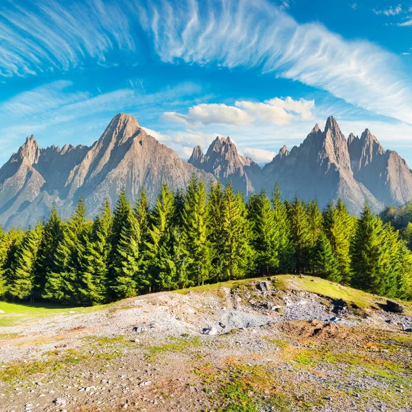 Sammansatt Bild Höga Tatrabergen Granskog Front Och Underbara Blå Himlen — Stockfoto