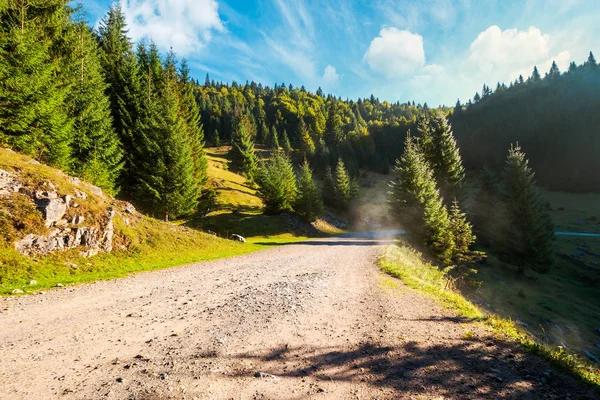 Landstraße Durch Waldgebiet Gebirge Schönes Wetter Der Natur Bei Sonnenaufgang — Stockfoto