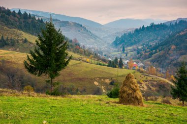 beautiful rural area of Carpathian mountains. haystack and spruce tree on edge of a hill. village down in hazy valley clipart