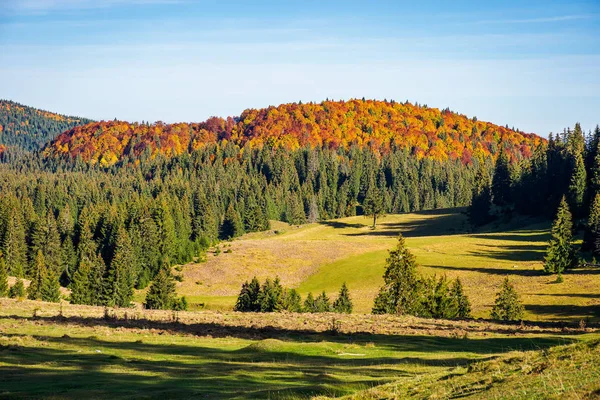 Güzel Sonbahar Manzara Sonbahar Renkleri Uzak Dağda Güzel Güneşli Hava — Stok fotoğraf