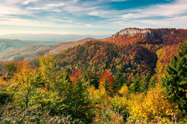 Красивый Пейзаж Горах Румынии Скала Над Лесом Осеннего Цвета Прекрасный — стоковое фото