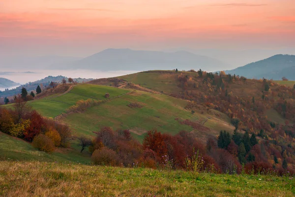 Ländliche Gegend Den Bergen Morgengrauen Obstgarten Herbstfarben Auf Dem Hügel — Stockfoto