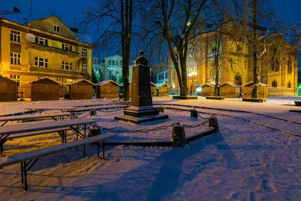 Uzhgorod Ukraine Dezember 2016 Feczik Park Winter Morgengrauen Der Ehemalige — Stockfoto