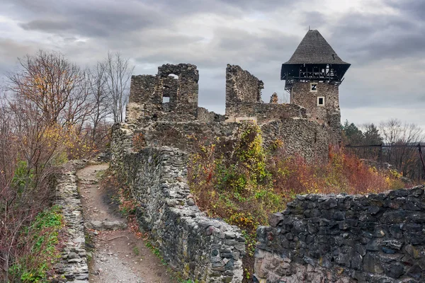 Ruins Nevytsky Castle Transcarpathia Gloomy November Day Popular Tourist Destination — Stock Photo, Image