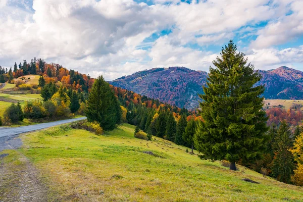 Красивая Осенняя Природа Прекрасное Расположение Карпатских Гор Великолепные Погодные — стоковое фото