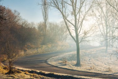 ormanda sabah sis ile serpantin yokuş yukarı. Kasım ayında güzel ulaşım sahne 