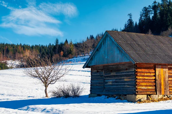 Karpat Dağları Terk Edilmiş Ahırda Güzel Güneşli Kış Hava — Stok fotoğraf