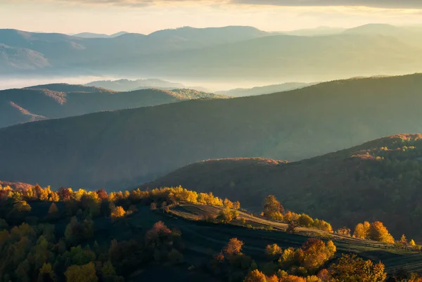 Colinas Onduladas Boscosas Otoño Hermoso Paisaje Amanecer Walley Distante Con — Foto de Stock