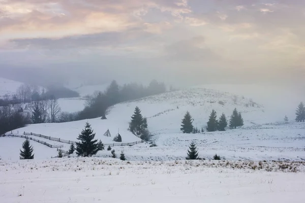 Winterlandschaft Einem Nebligen Morgen Geheimnisvolle Landschaft Mit Bäumen Schneebedeckten Hängen — Stockfoto