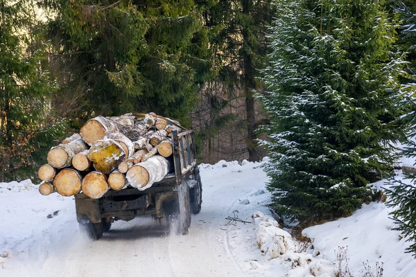 Camion Che Trasporta Legna Attraverso Foresta Lavoro Pericoloso Concetto Taglio — Foto Stock