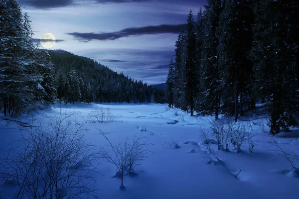 Foresta Invernale Montagna Notte Alla Luce Della Luna Piena Alti — Foto Stock