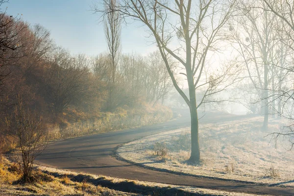 Serpentine Bergauf Durch Den Wald Morgennebel Schöne Transportkulisse November — Stockfoto