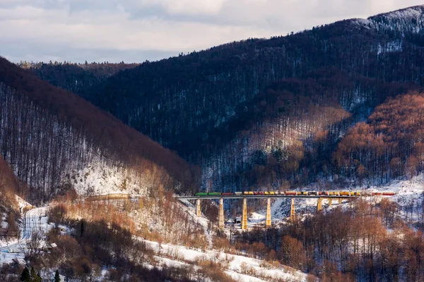 Kış Raylı Karayolu Taşımacılığı Dağlarda Yük Treni Ile Eski Viyadük — Stok fotoğraf