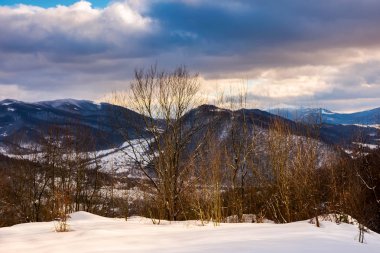 bir karlı yamaç vadi yukarıda ağaçta. muhteşem akşam bulutlu gökyüzü sırt üstünde. 
