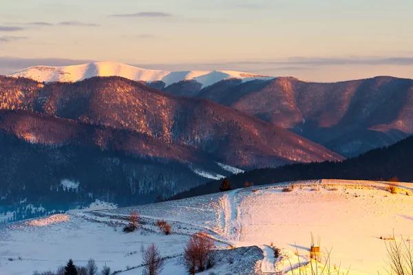 Winter Countryside Carpathian Mountains Beautiful Landscape Sunrise Rural Fields Hill — Stock Photo, Image