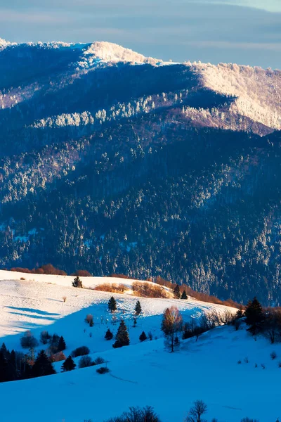 山の冬景色 雪の中で森林に覆われた丘 素敵な寒さの背景 — ストック写真