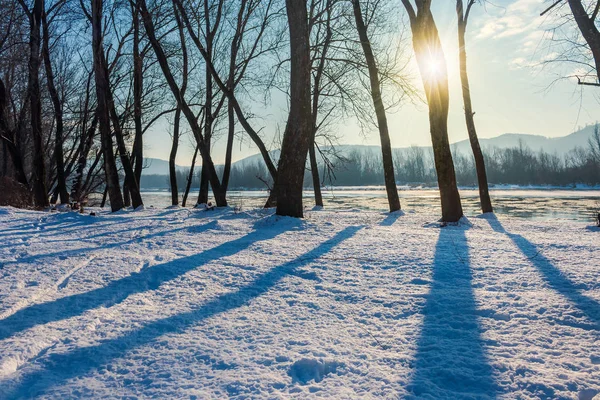 Vinter Landskap Nära Floden Mörka Nakna Träd Snö Täckta Bank — Stockfoto