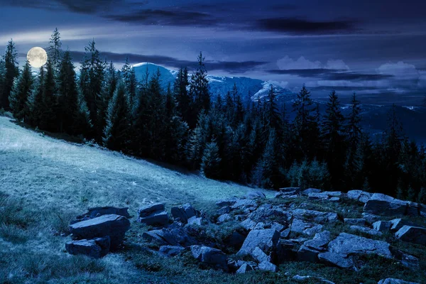 Zomer Alpine Landschap Composiet Volle Maan Licht Nachts Rotsformatie Buurt — Stockfoto