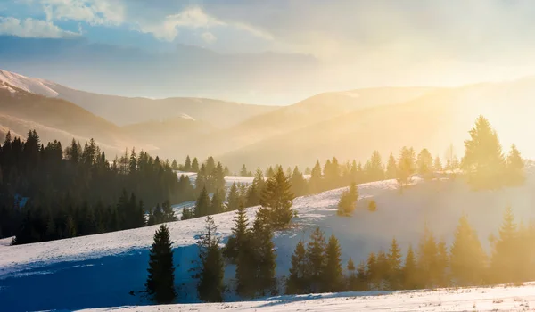 Linda Paisagem Inverno Nevoeiro Brilhante Paisagem Maravilhosa Natureza Montanhas Com — Fotografia de Stock