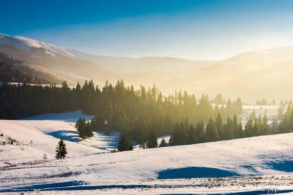 Prachtige Winterlandschap Bergen Gloeiende Mist Boven Het Bos Sneeuw Bedekte — Stockfoto