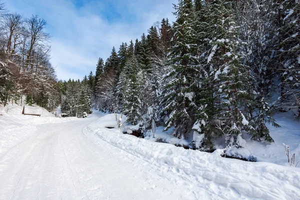 雪に覆われた道が上り坂の森を巻きします 素晴らしい冬の冒険 — ストック写真