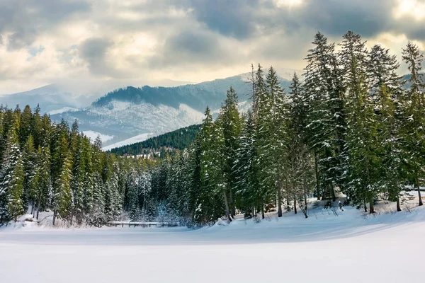 Bela Paisagem Inverno Nas Montanhas Floresta Abeto Torno Prado Coberto — Fotografia de Stock