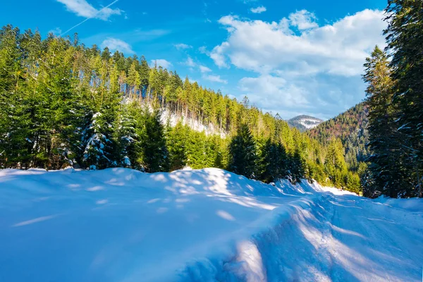 Neve Estrada Coberta Descida Através Floresta Abeto Belo Tempo Ensolarado — Fotografia de Stock