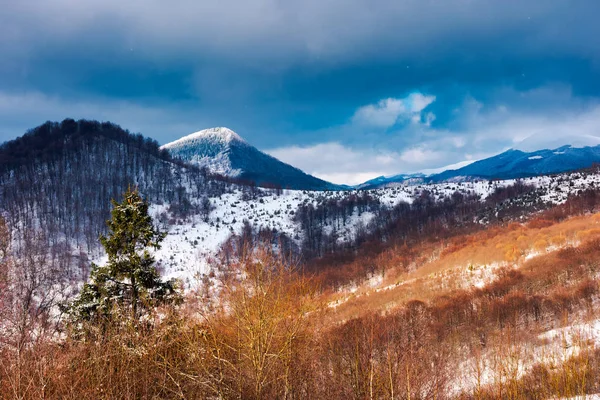 Winter Uzhanian National Nature Park Beautiful Nature Scenery Snowy Peaks — Stock Photo, Image